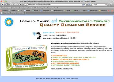 Bizzy Beez Cleaning